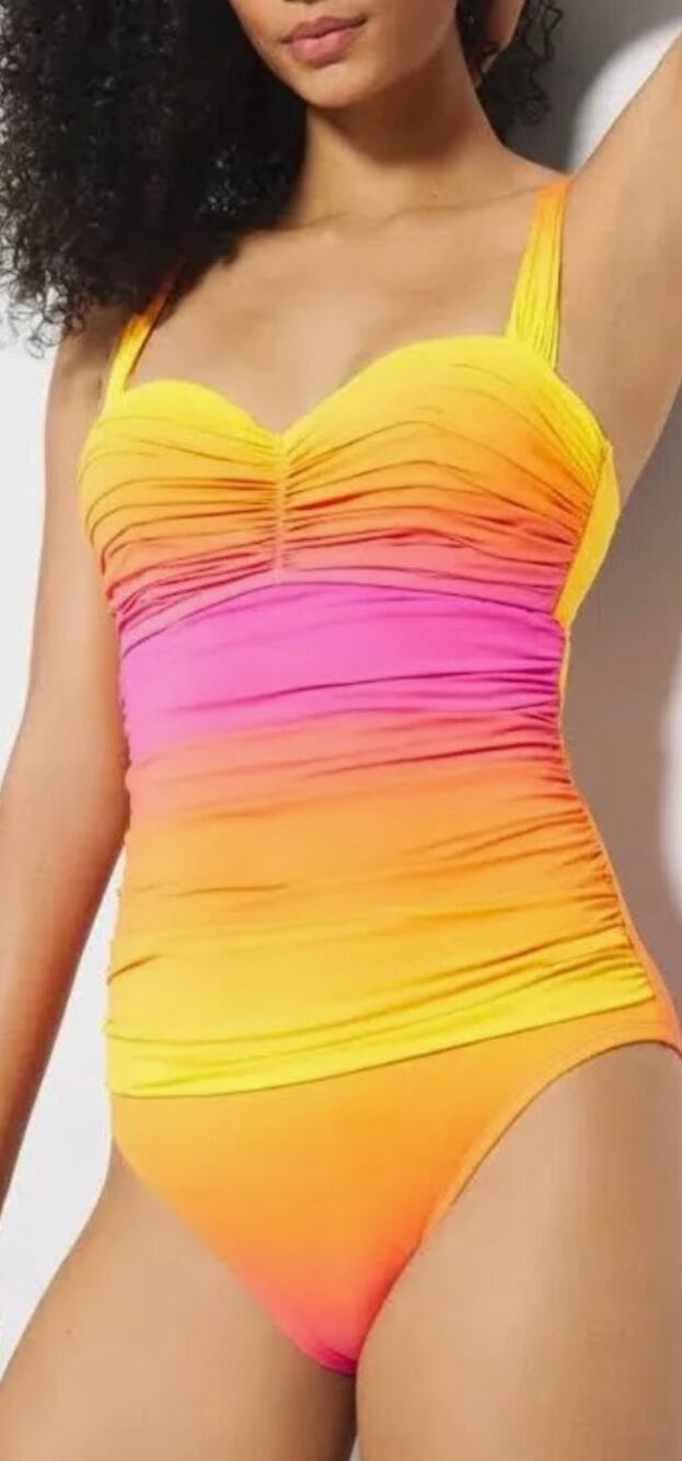 Bleu Rod Beattie Beat The Heat Rosa Ombre Shirred One Piece Swim Suit 22W NWT